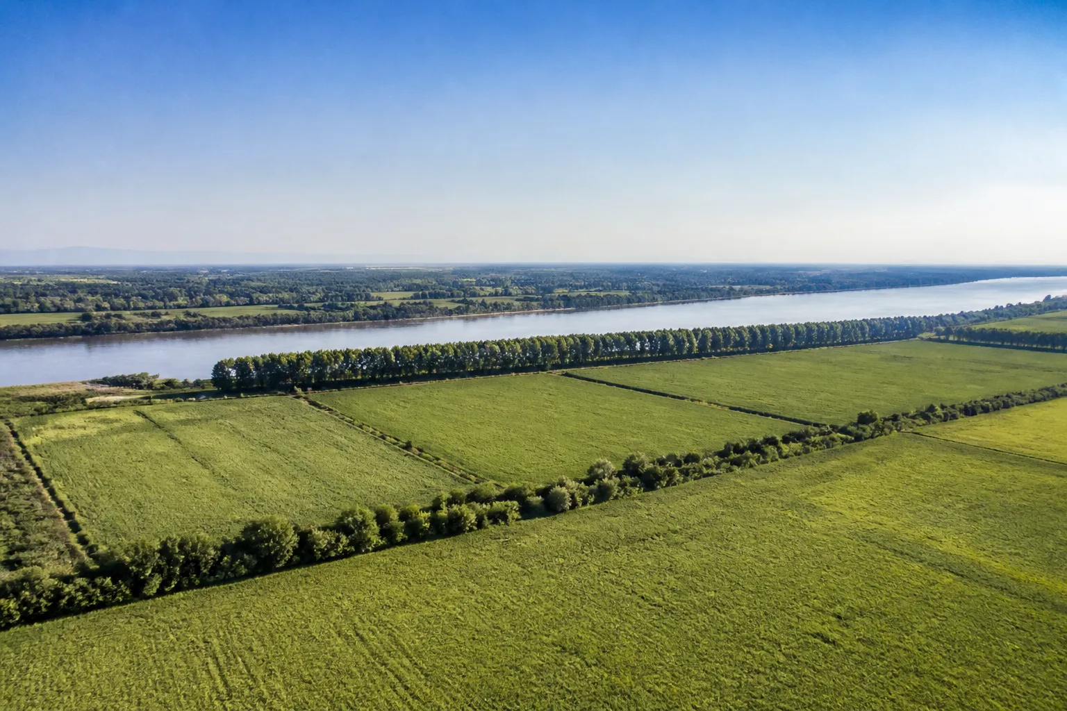Plaine agricole plate bordée d’arbres près d’un fleuve