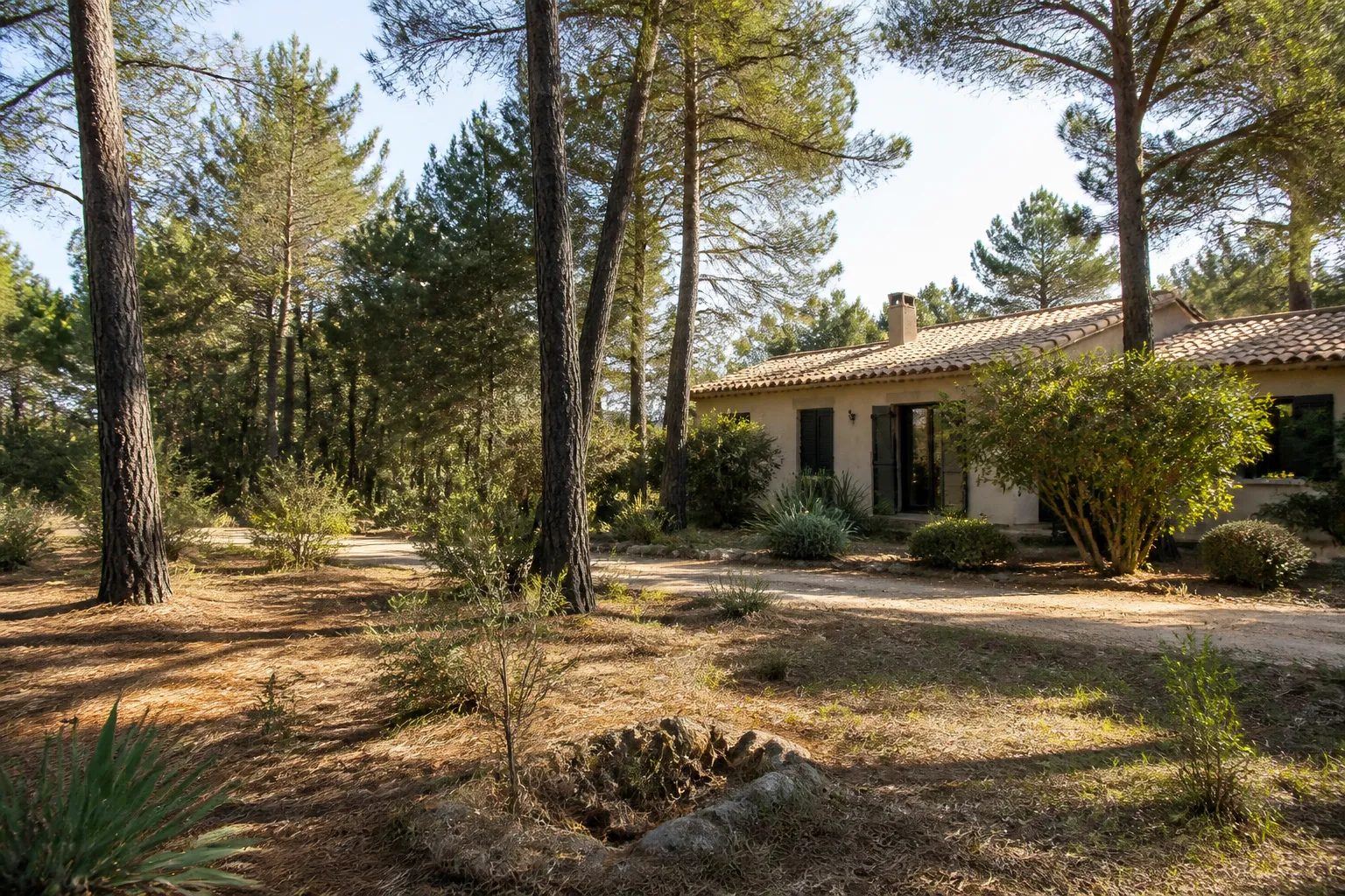 Abords d’une maison en lisière de pinède avec débroussaillage