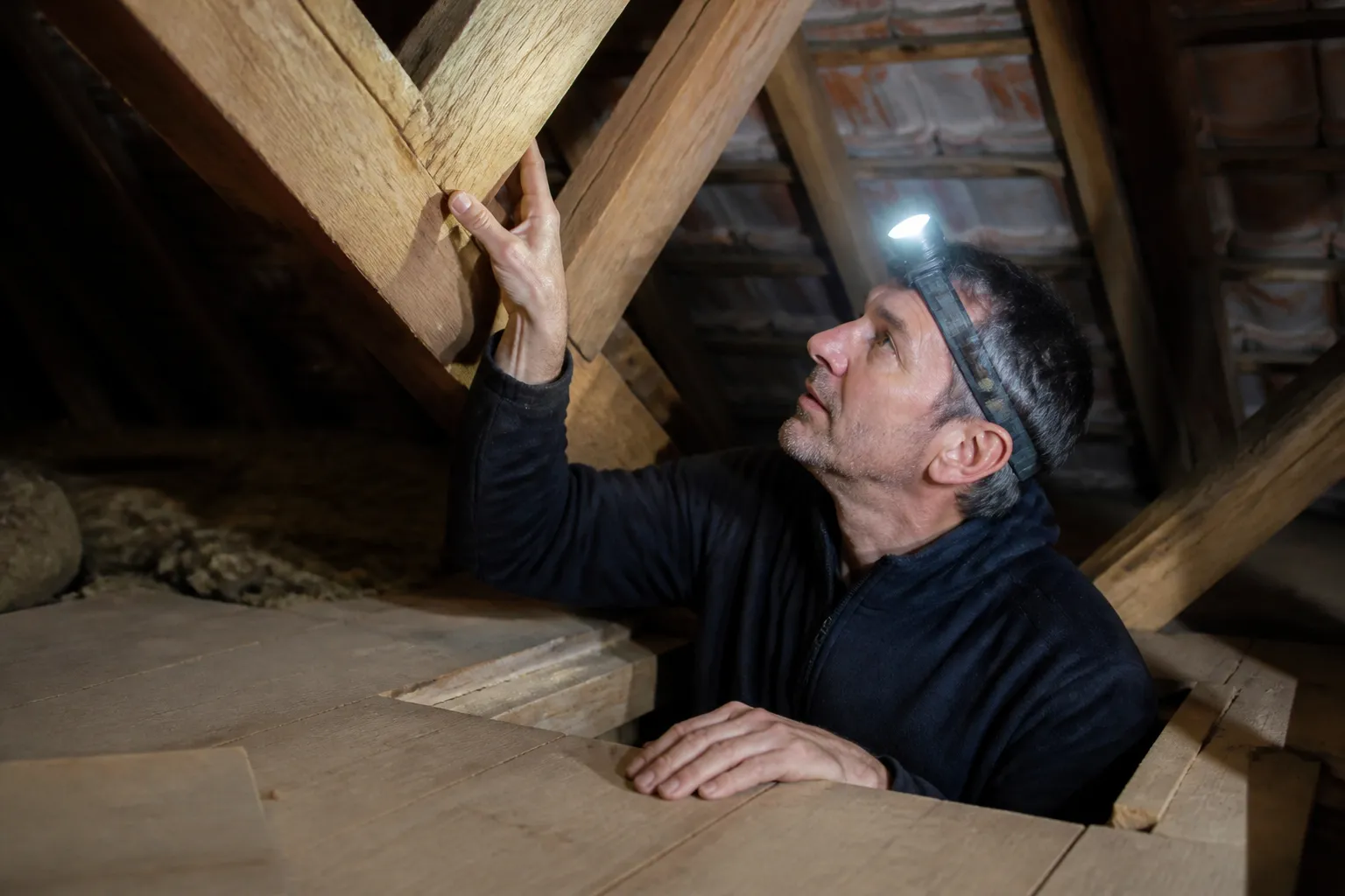 Expert examinant une charpente depuis une trappe de combles