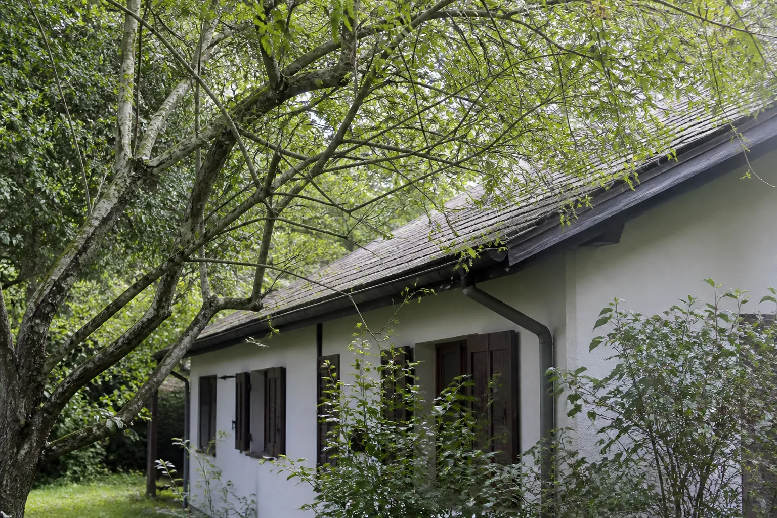 Maison avec terrain arboré et végétation proche de la toiture