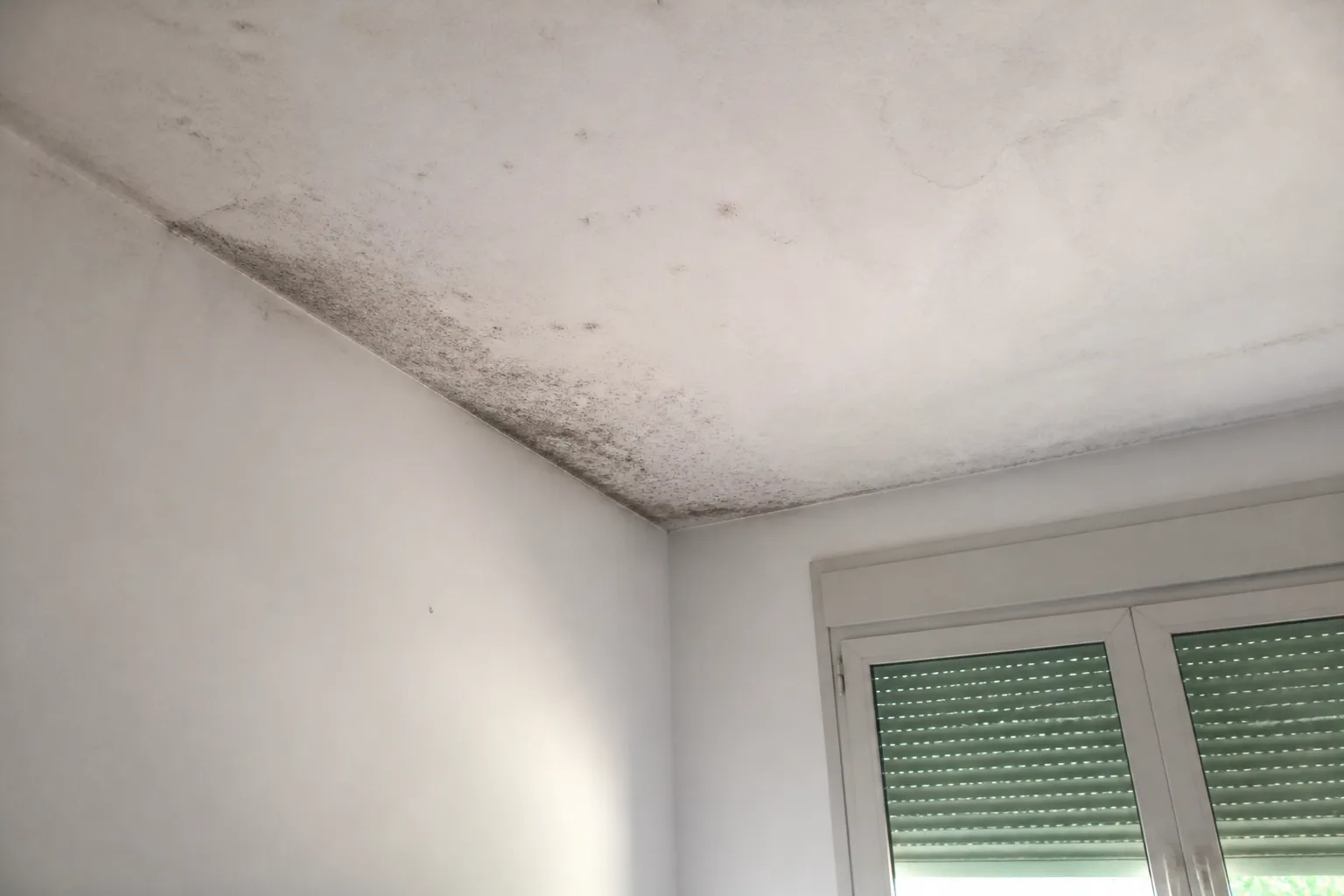 Pièce fermée d’une maison de vacances avec moisissures en angle de plafond