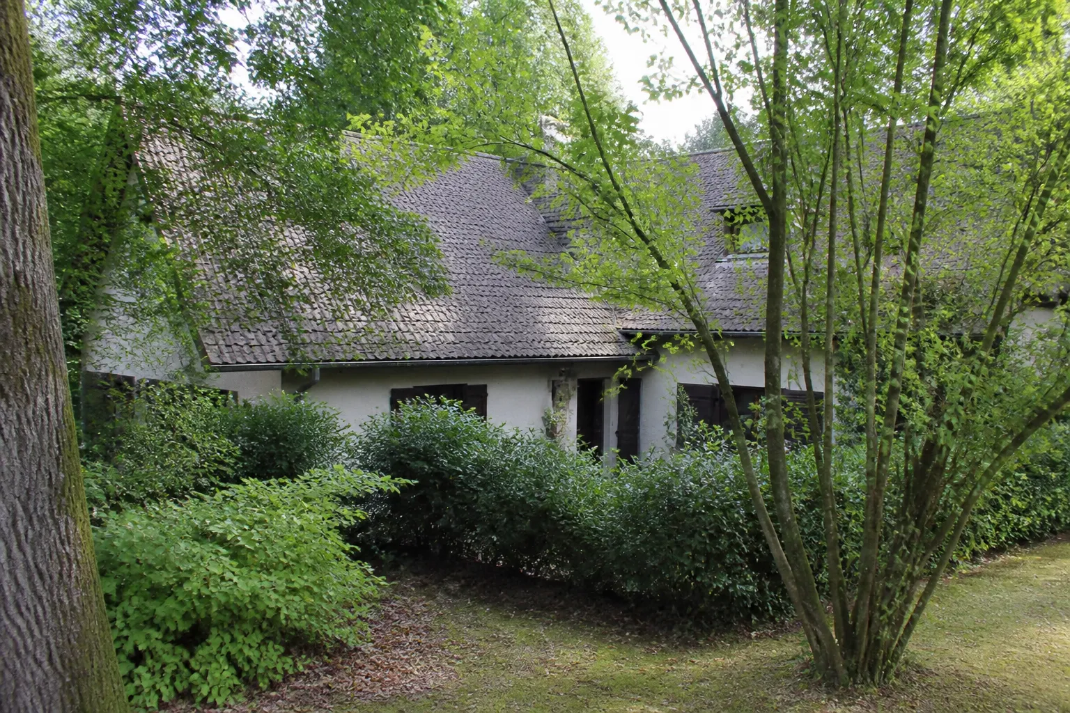Maison en lisière de bois avec végétation proche de la façade