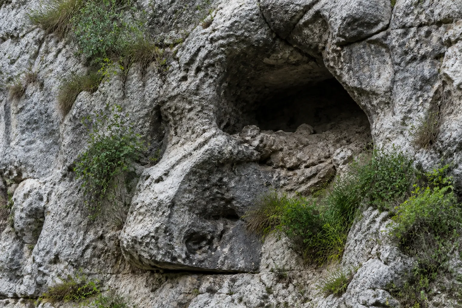 Paroi rocheuse calcaire avec une cavité naturelle