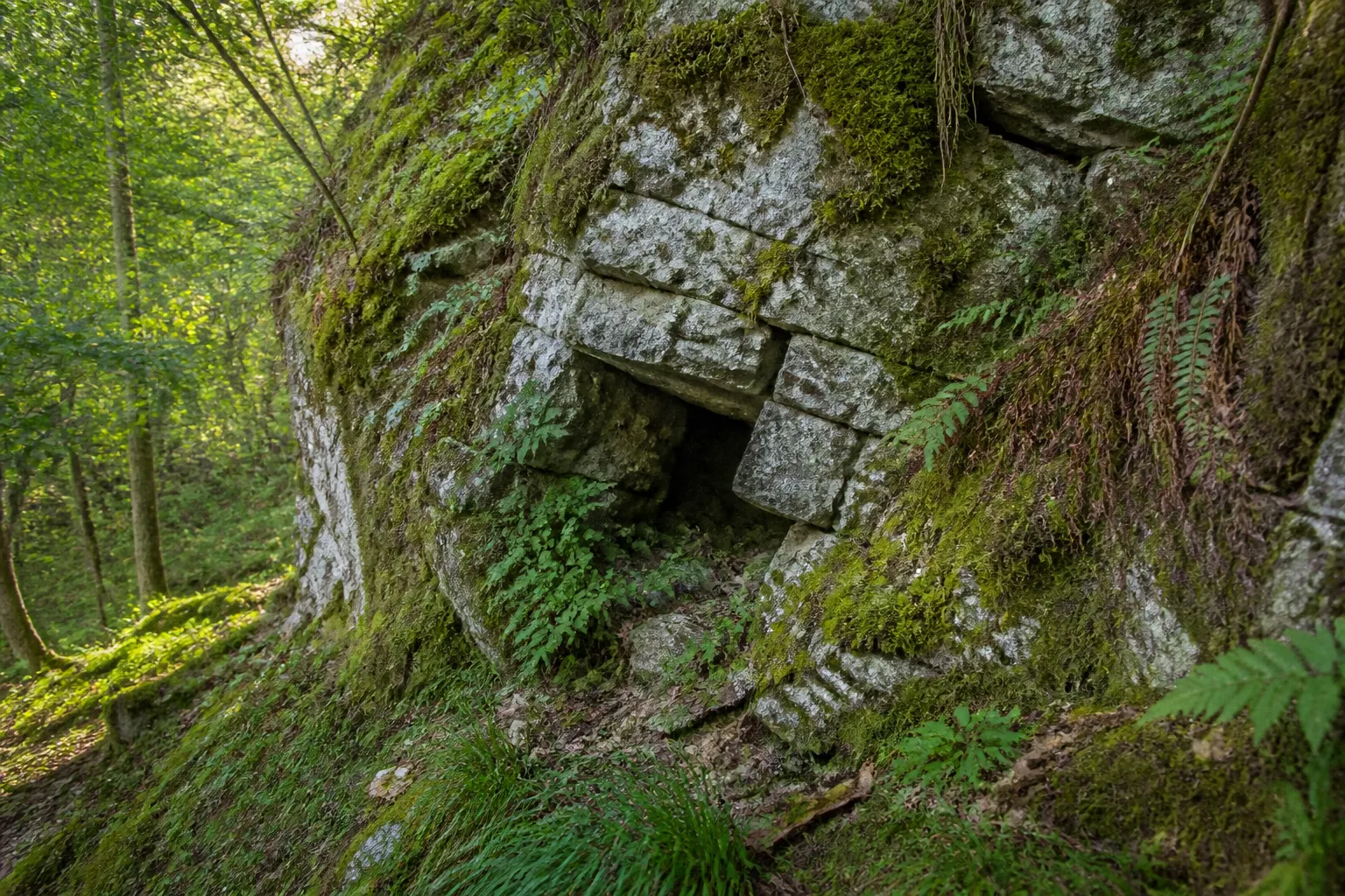 Affleurement rocheux avec petite cavité naturelle en lisière de bois
