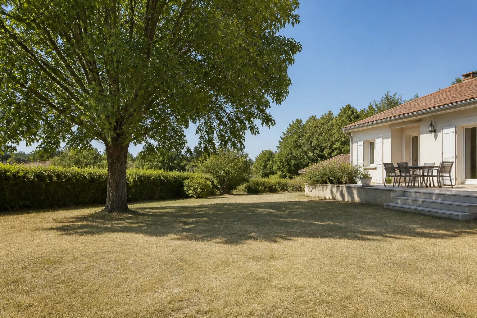 Grand arbre proche de la façade d’une maison avec pelouse sèche
