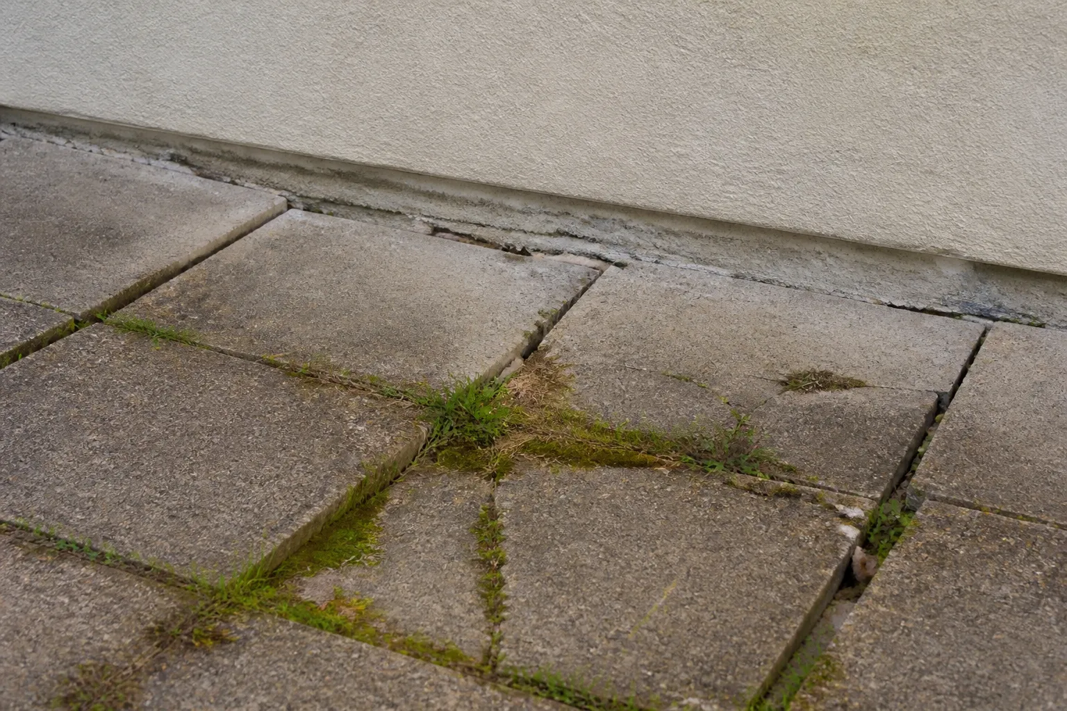 Dallage de terrasse fissuré au pied d’une maison