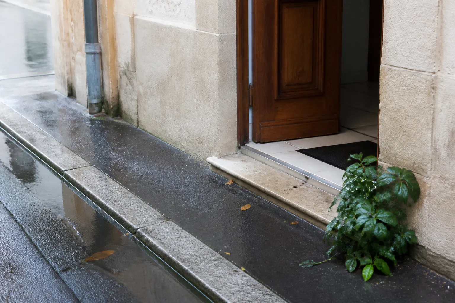 Seuil de porte d’entrée au niveau du trottoir après la pluie