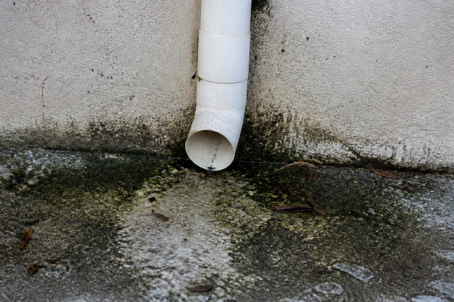 Descente d’eau pluviale se déversant au pied d’un mur