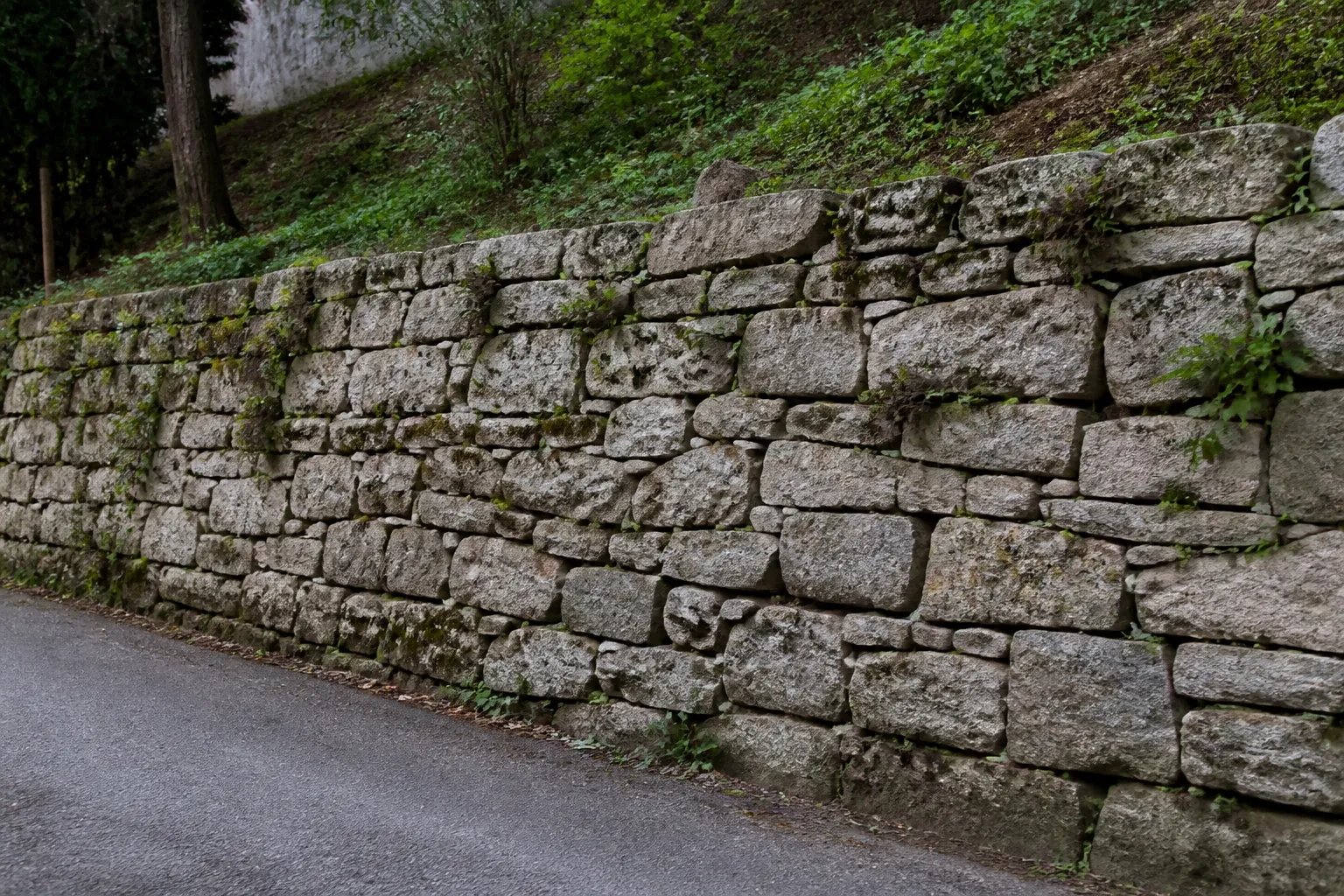 Mur de soutènement en pierre au bas d’un jardin en pente