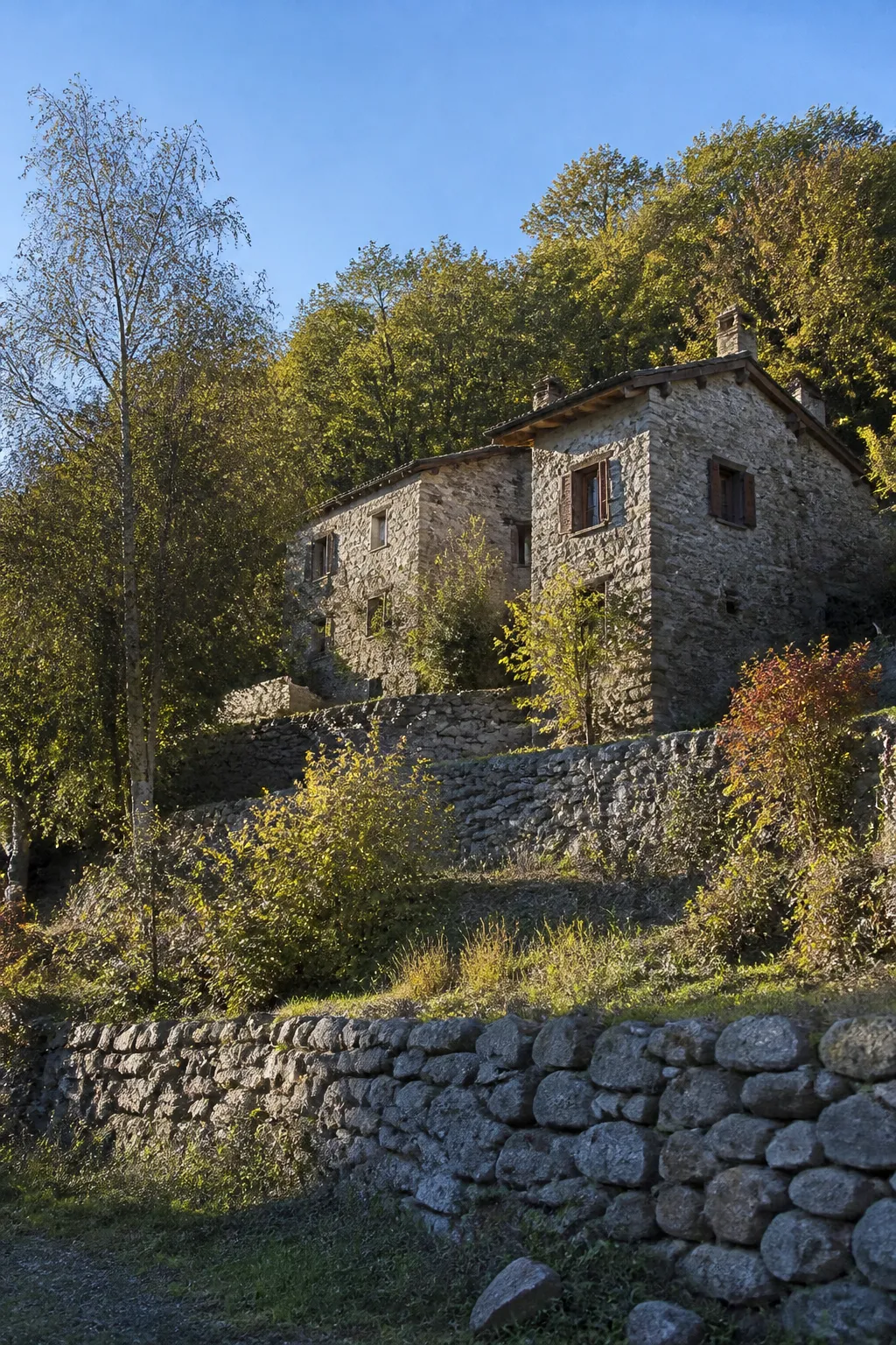 Maison en pierre sur un versant boisé en Ardèche avant un bilan avant achat