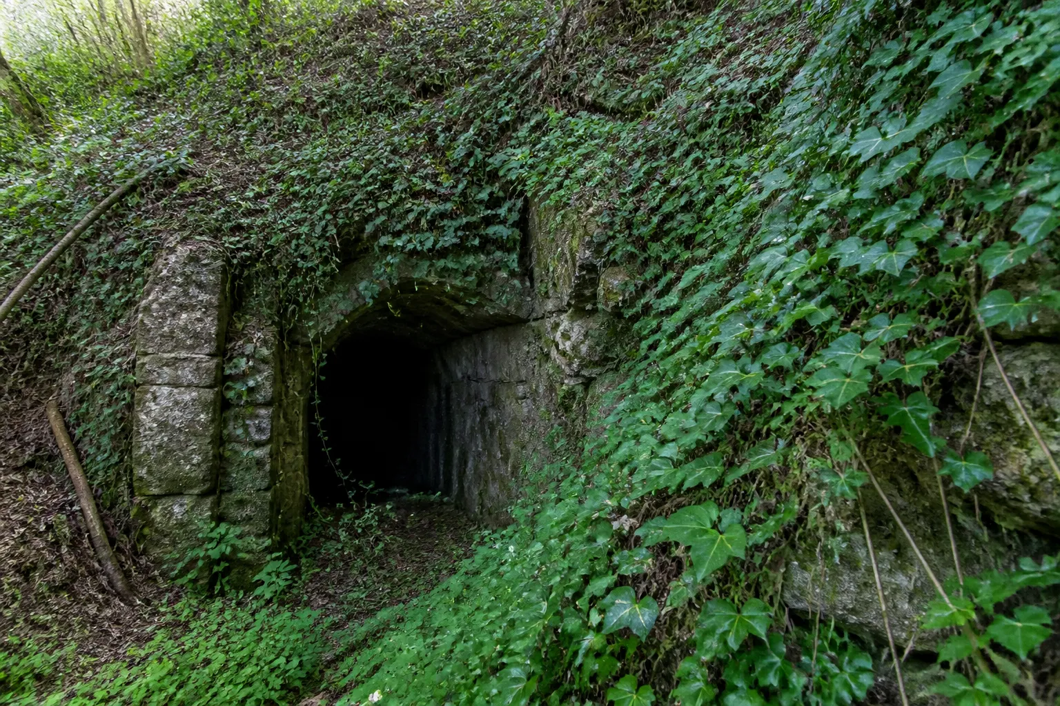 Entrée d’une ancienne galerie souterraine envahie de végétation