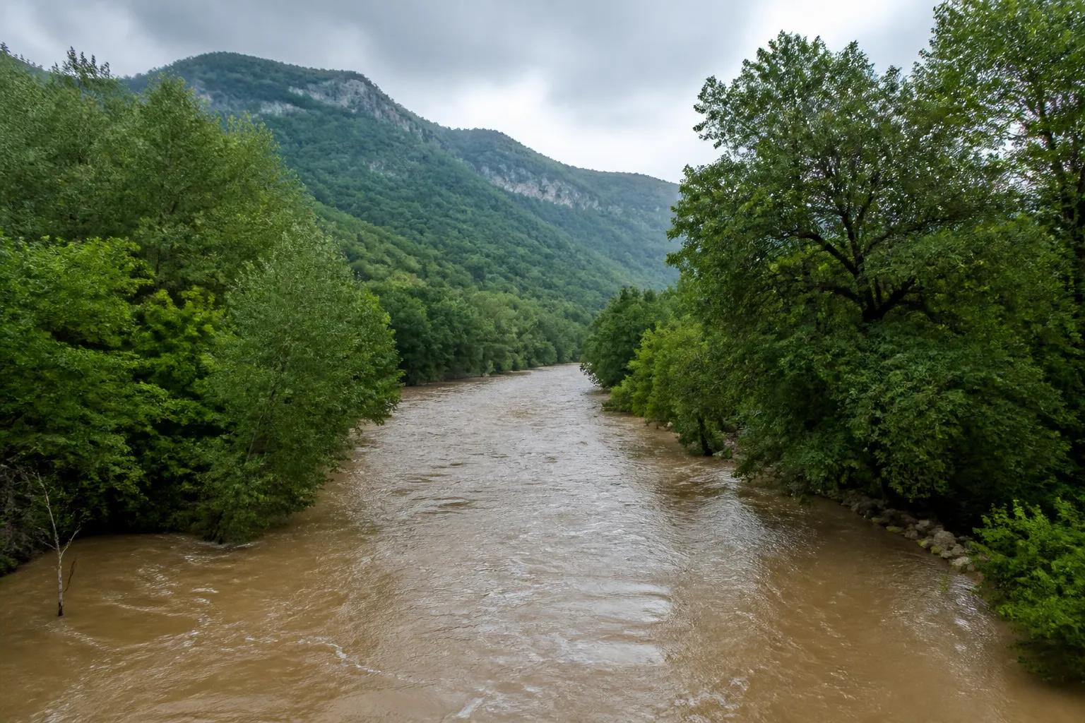 Rivière en crue modérée bordée d’arbres dans une vallée