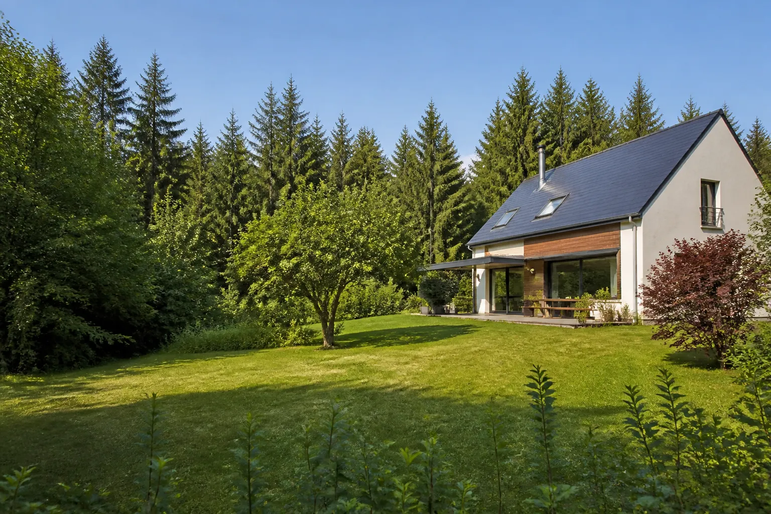 Maison isolée en lisière de bois de conifères