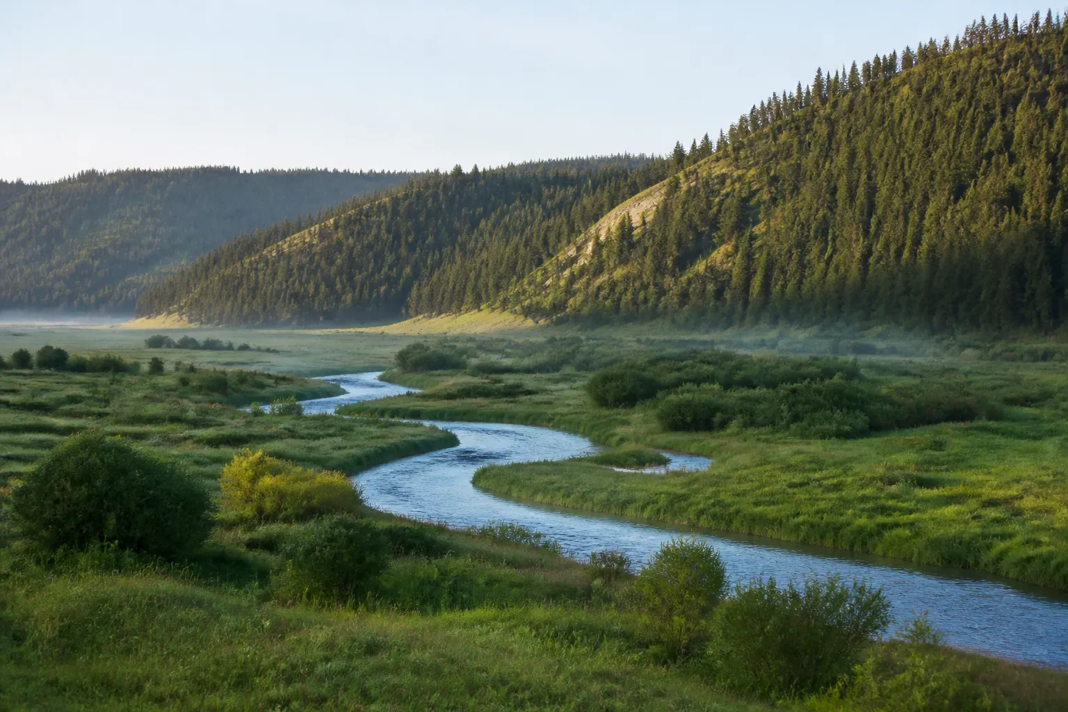 Plaine alluviale humide au bord d’une rivière en moyenne montagne
