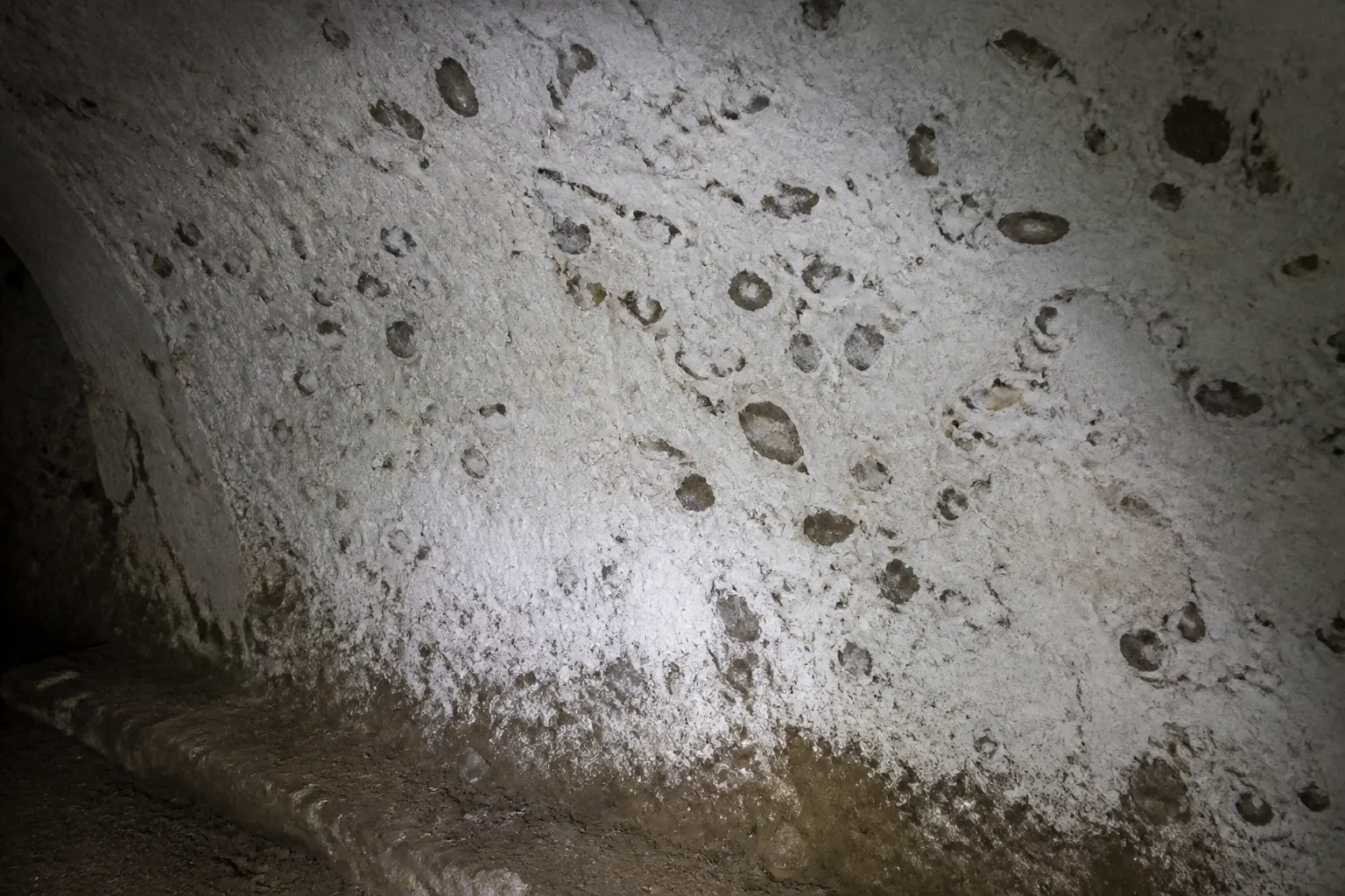 Mur de cave en craie et silex observé lors d’une visite technique