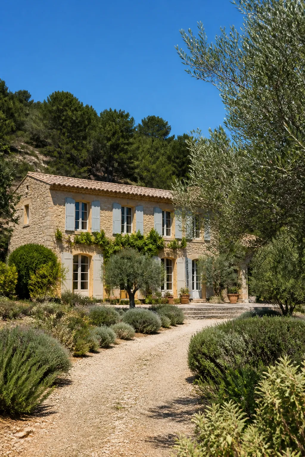 Maison en pierre aux volets clairs entourée d’oliviers dans le Gard, observée avant un achat