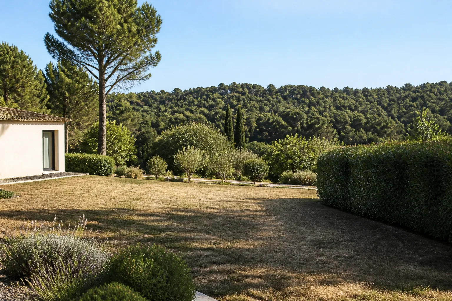 Jardin de villa en lisière de garrigue avec haie et pinède
