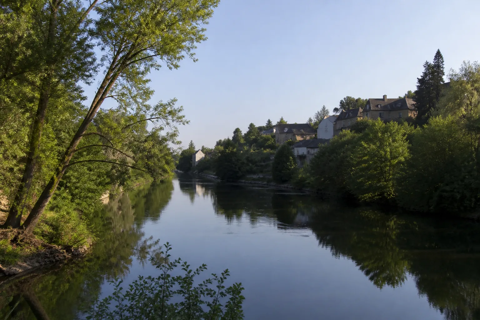 Rivière calme bordée d’arbres avec des maisons en arrière-plan
