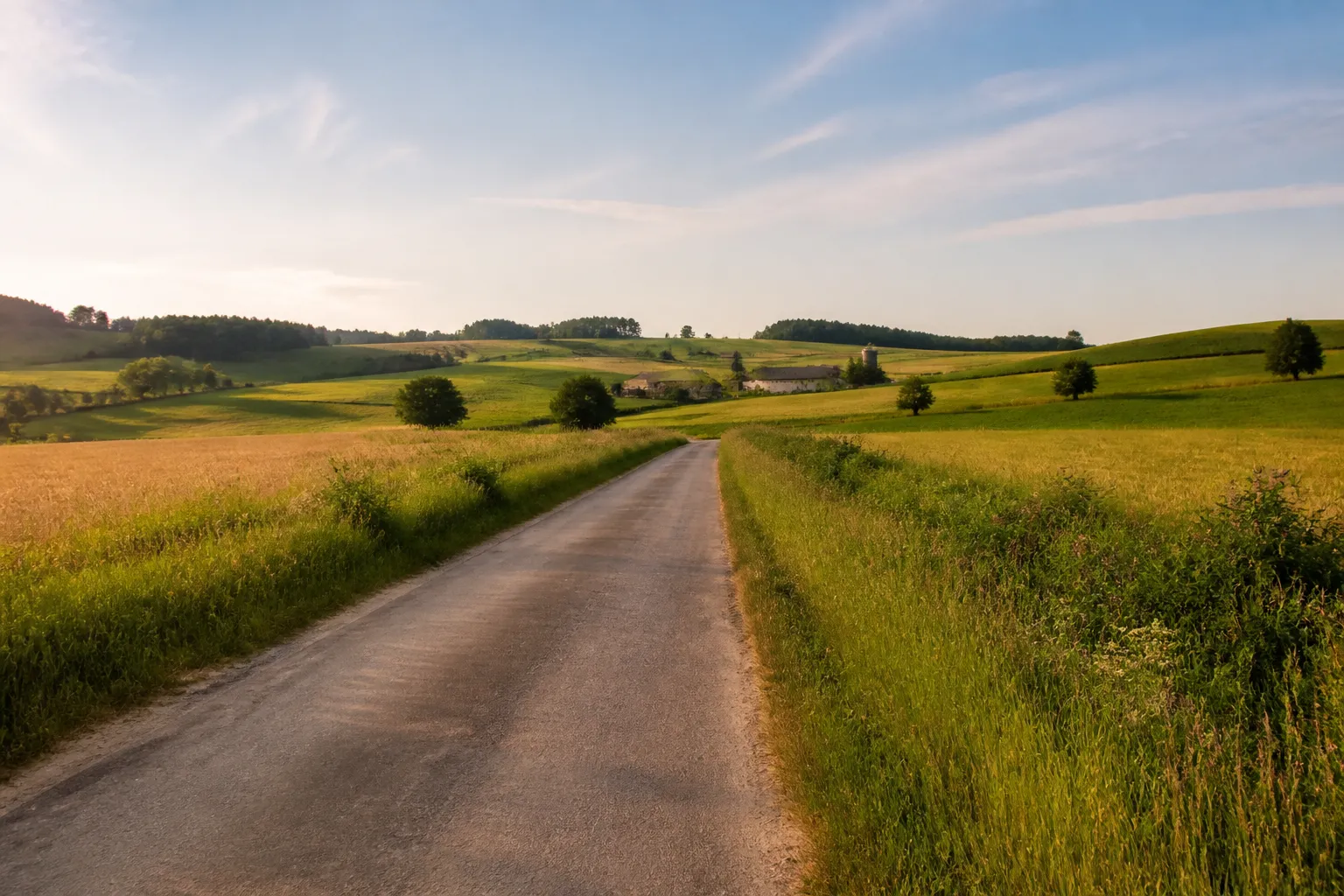 Route de campagne bordée de champs et de collines