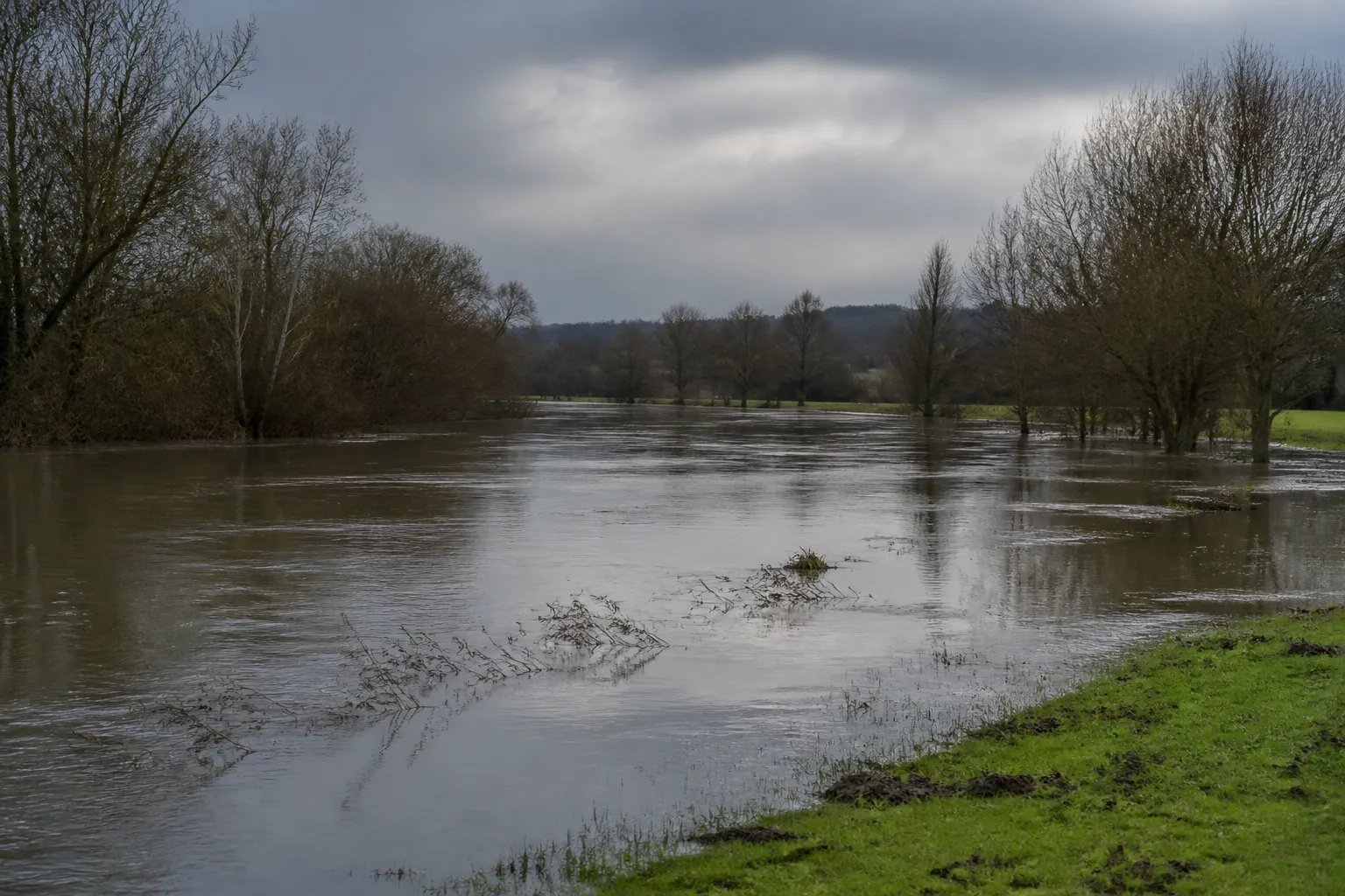 Rivière en crue lente débordant sur une prairie bordée d’arbres