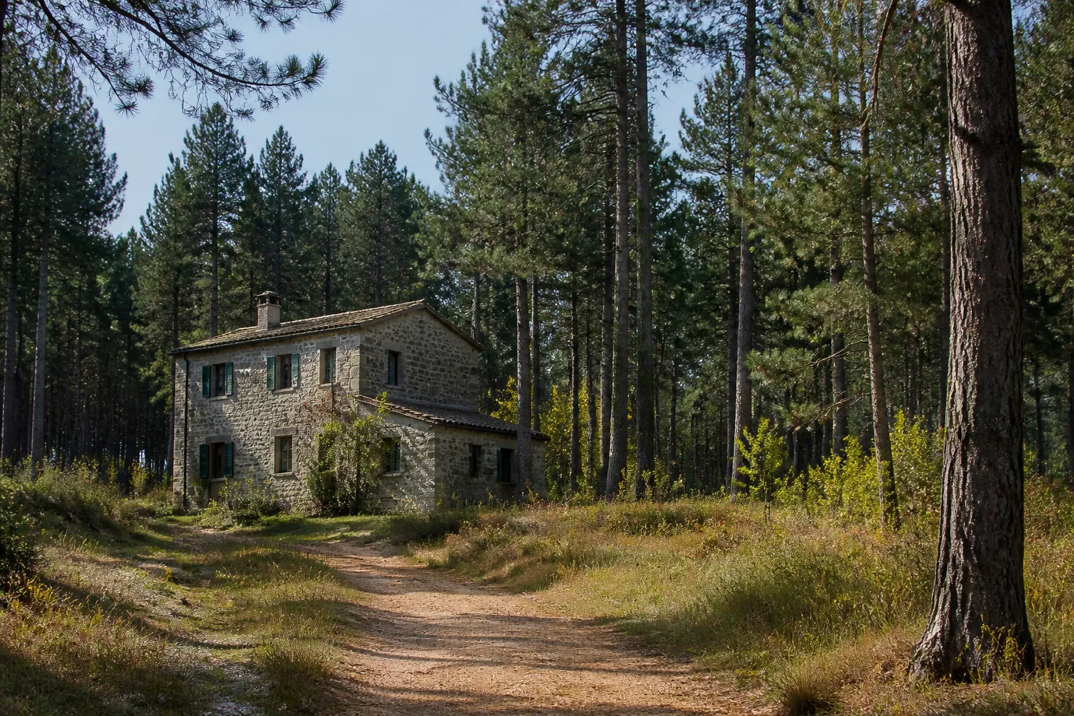 Maison isolée en lisière de forêt de pins