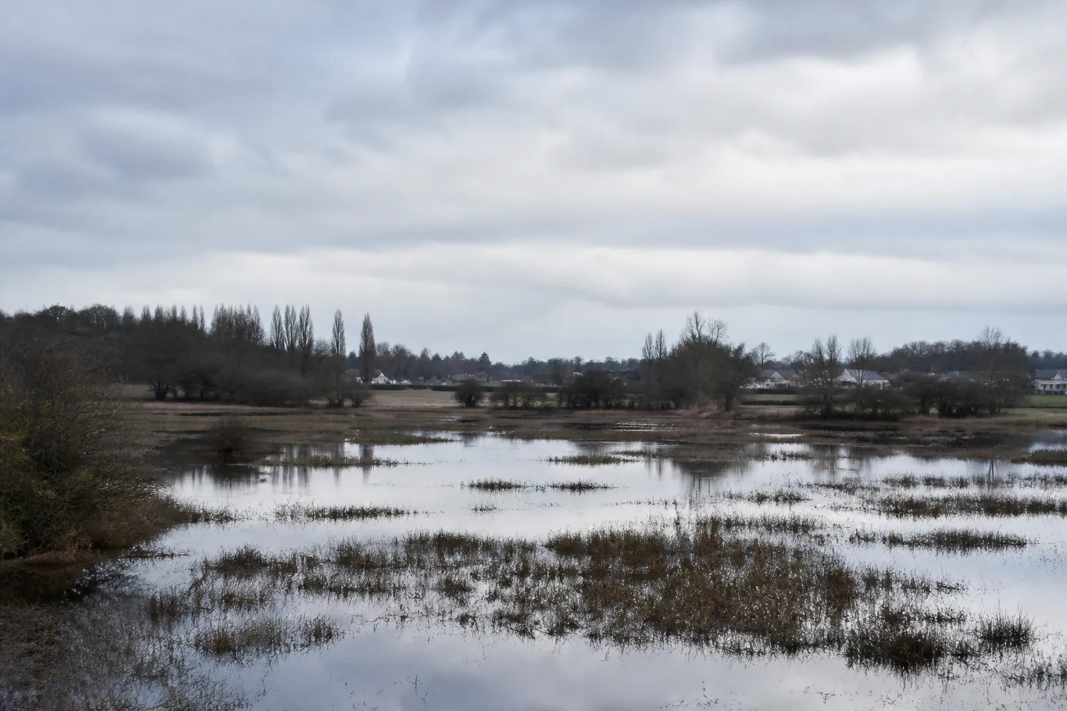 Marais inondé en hiver en lisière de bocage