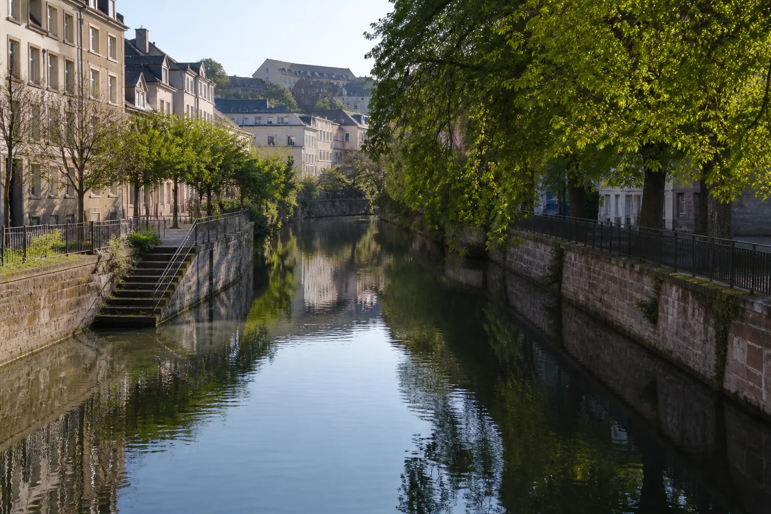 Rivière bordée d’arbres traversant une ville