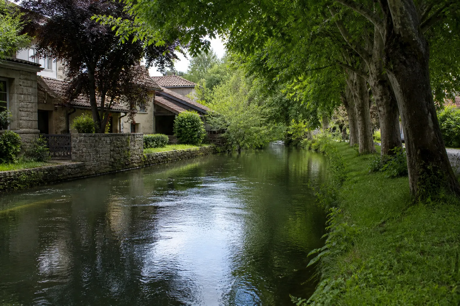 Rivière calme bordée d’arbres près de maisons