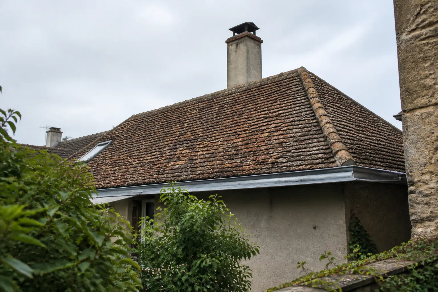 Toiture en tuiles et gouttière observées depuis le jardin