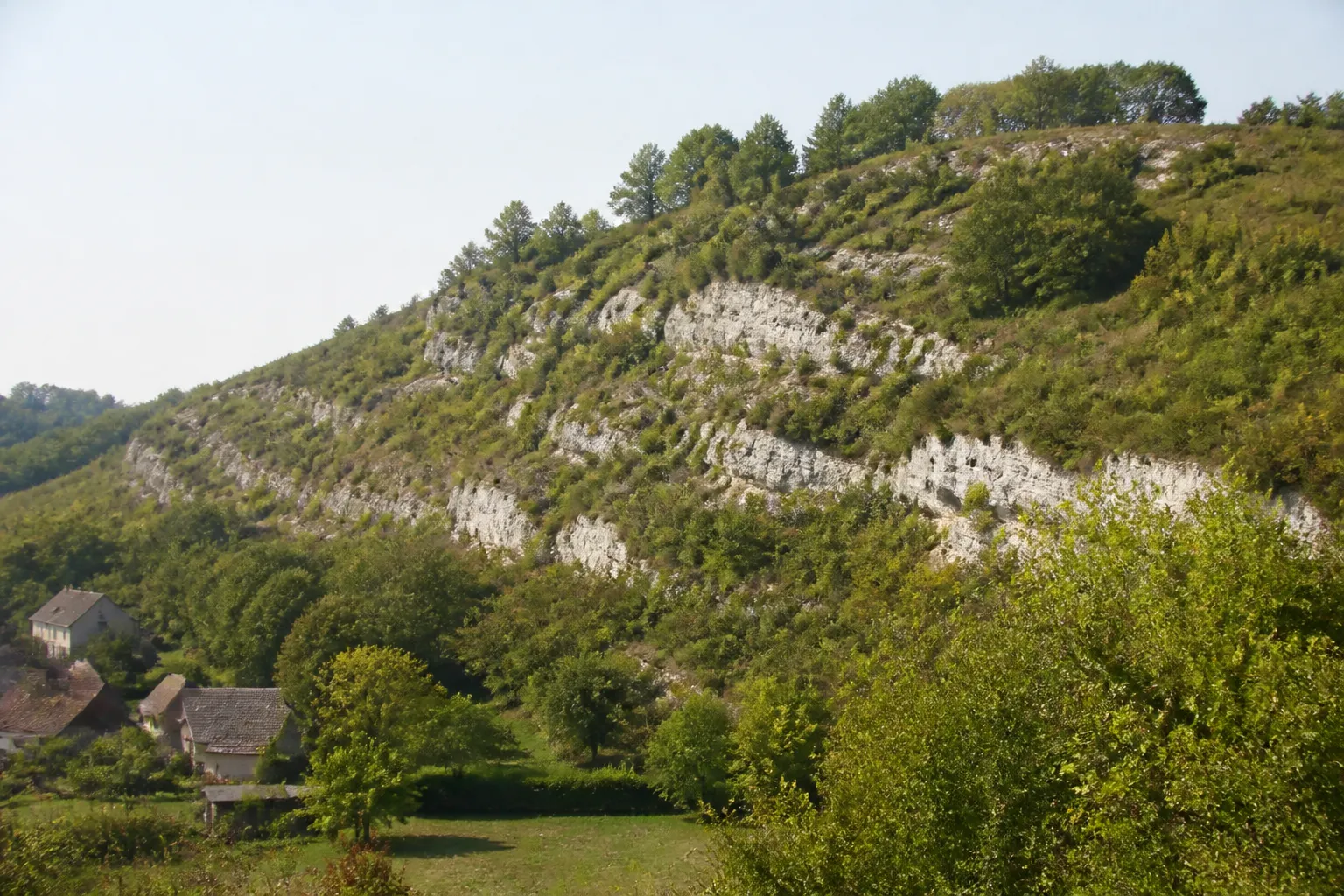 Coteau calcaire boisé au-dessus de maisons
