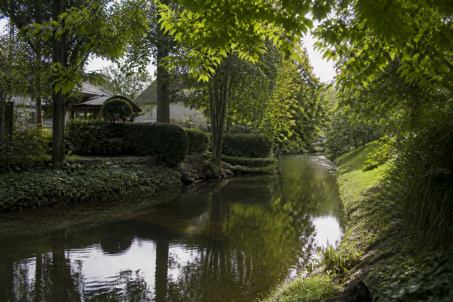 Petite rivière bordée d’arbres près de maisons résidentielles