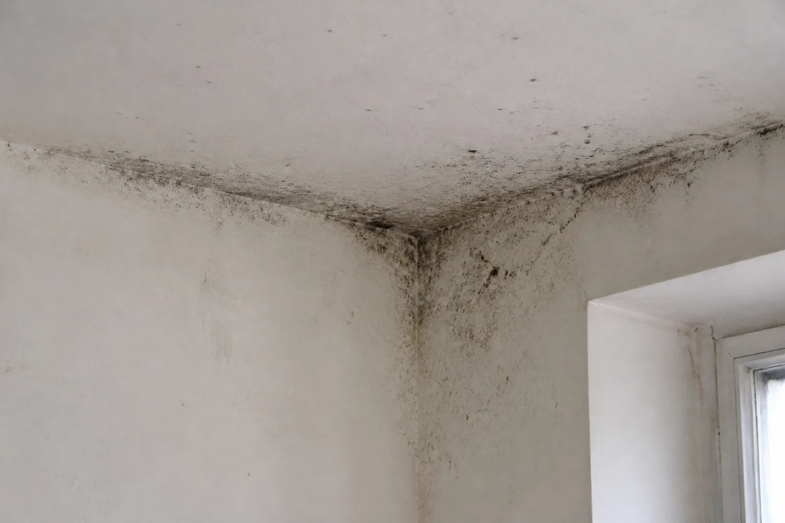 Moisissures dans l’angle d’un plafond de chambre