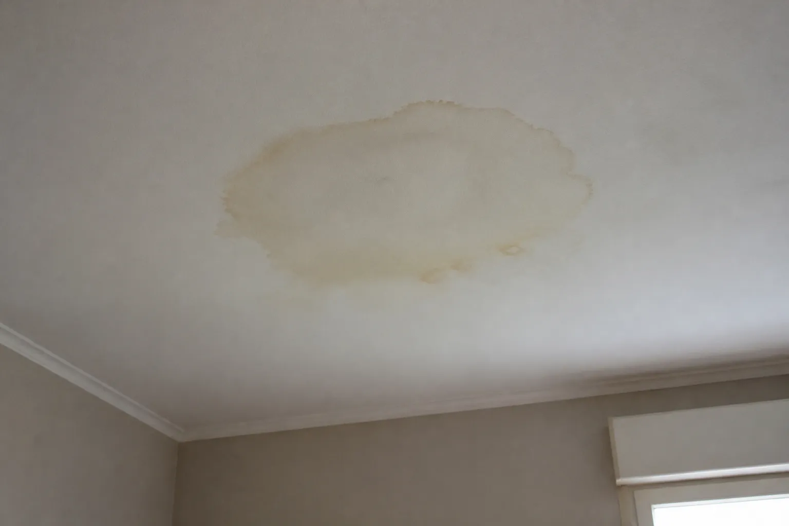 Auréole de fuite au plafond sous une salle de bains