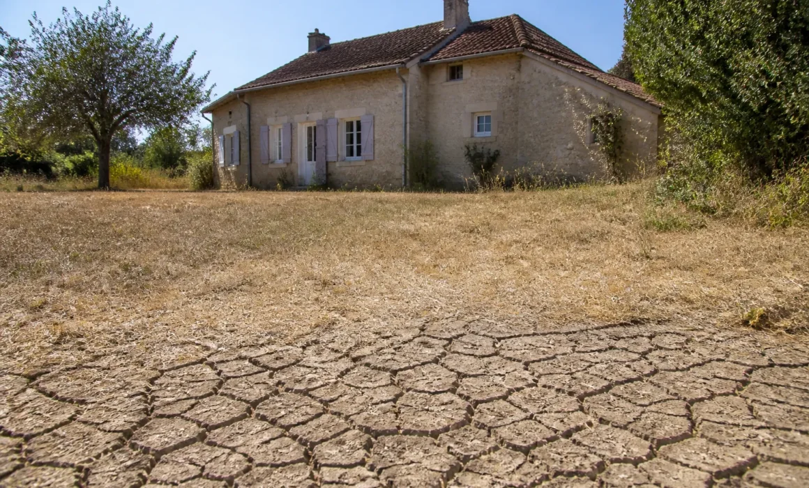 "Maison