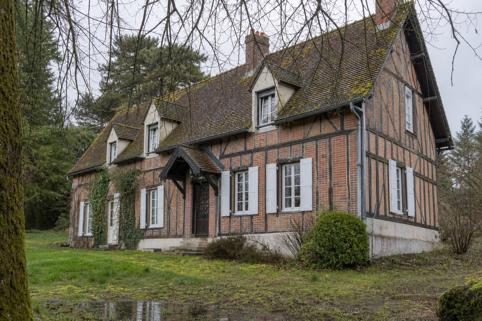 Maisons de Sologne : bois, brique et terrains humides
